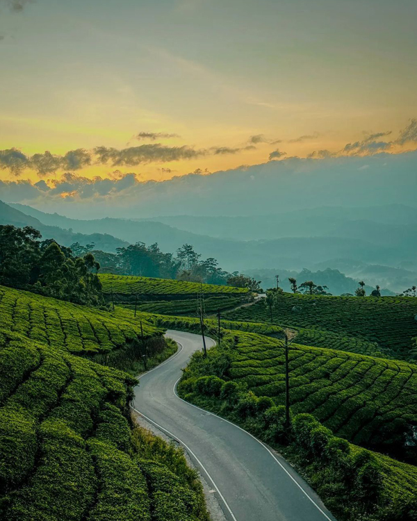 Munnar